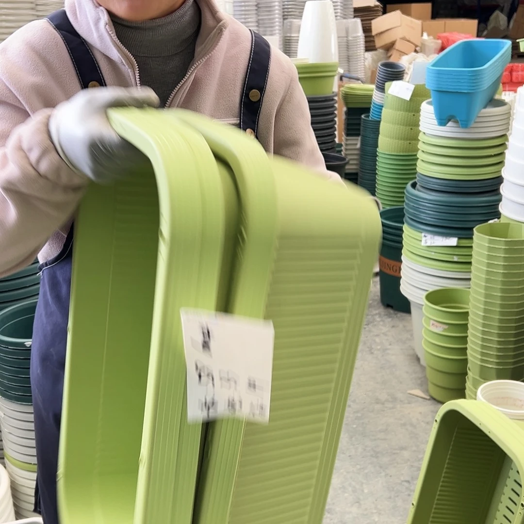 菜盆600#果绿色3个无托