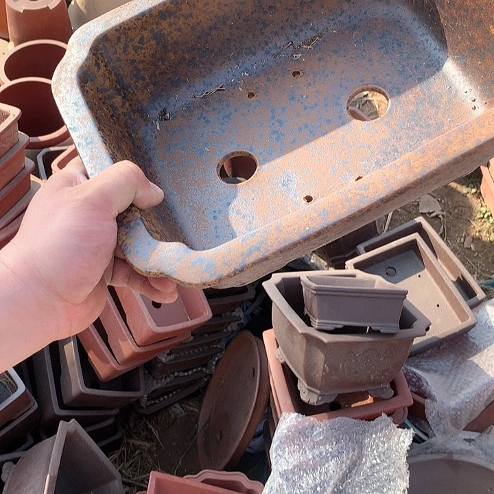 紫砂你要的东西一定