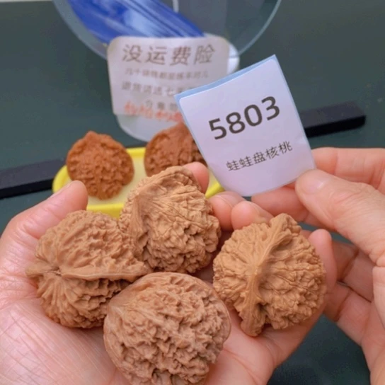 把件文玩核桃官帽满天星5803