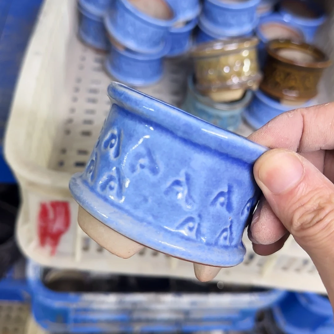 福利局绿植多肉盆［凑9元包邮24小时发］1039