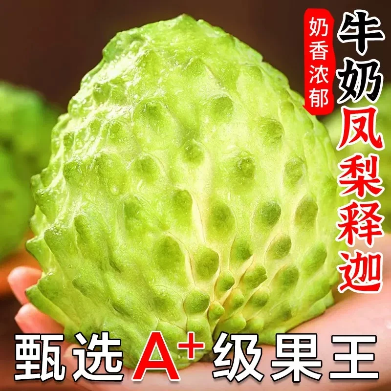 【当天发货】新鲜牛奶凤梨释迦果现货软糯香甜冰淇淋口感产地直发