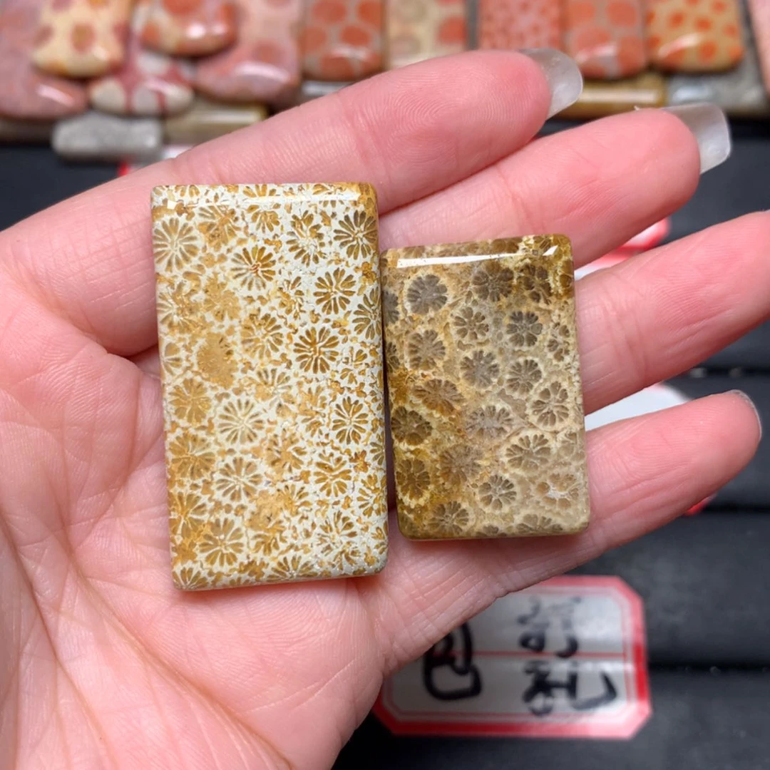 【闪购商品】未镶嵌颈饰硅化玉义**兰