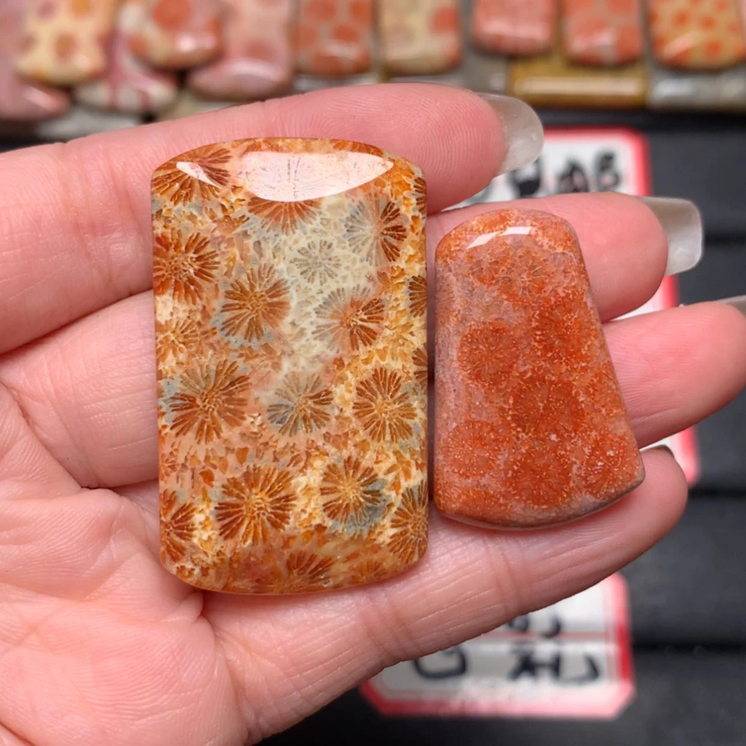 【闪购商品】未镶嵌颈饰硅化玉胡*二