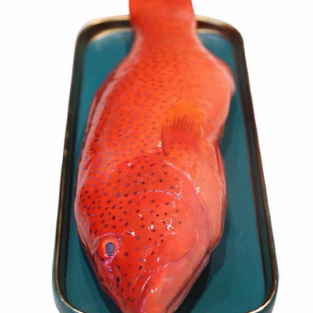 【鲜活】东星石斑鱼 活鱼 生猛海鲜（多规格可选）（默认宰杀 需要活发请备注）