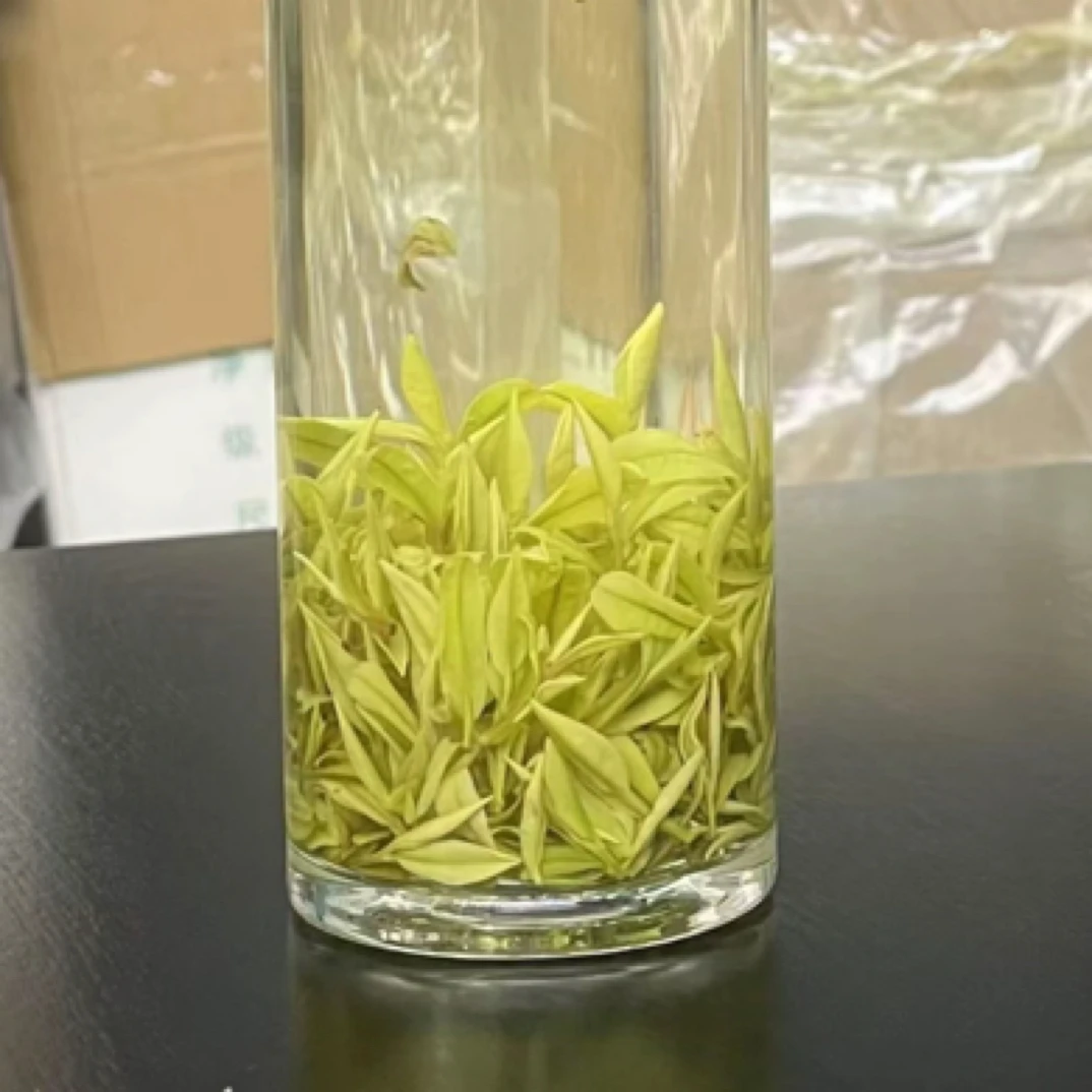 2号2025年新茶安吉原产地小熊猫奶白茶奶香鲜甜送礼浙江安吉茶