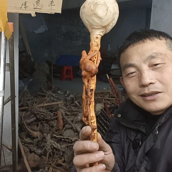 稳定木节贵州檬子木   铁马鞭   根艺  半成品