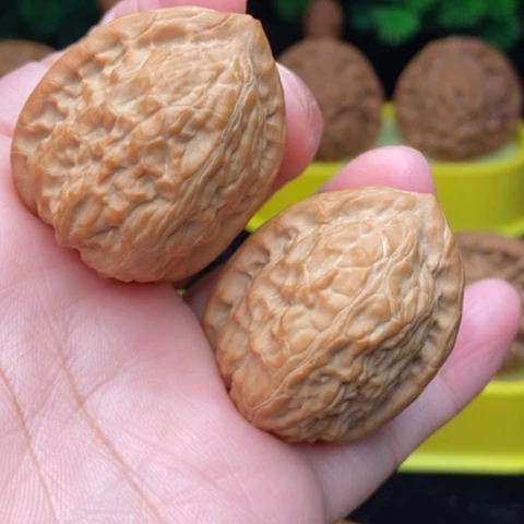 颖**声舍利子全品341111111