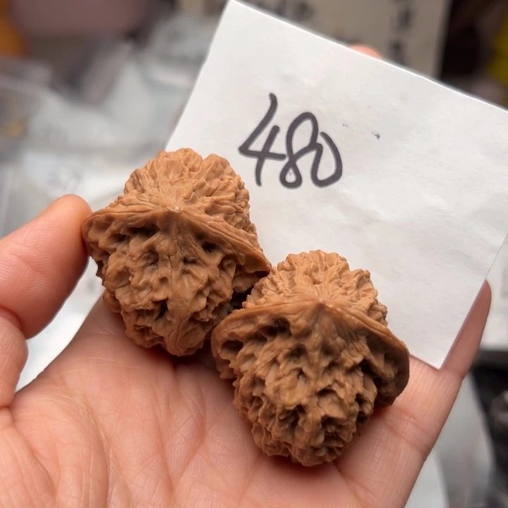 核桃388尺寸野牛磕尖
