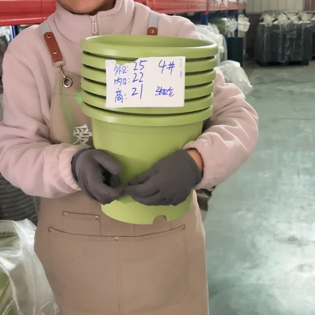 四季盆4#果绿色8个无托