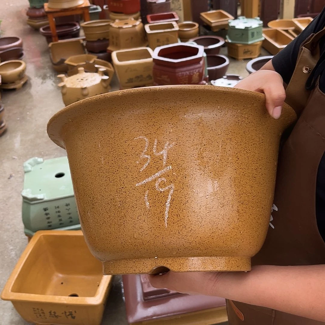 紫砂花盆盆景艺术