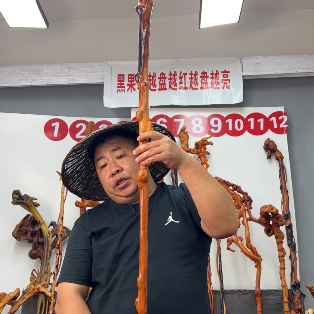 恩***好黑果木其他黑果木219