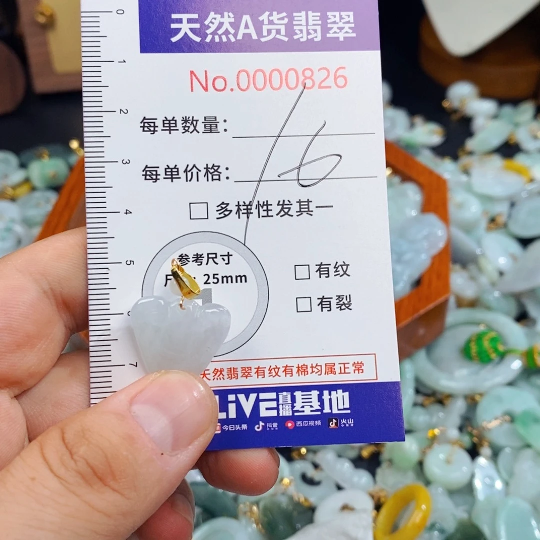 翡翠未镶嵌颈饰826