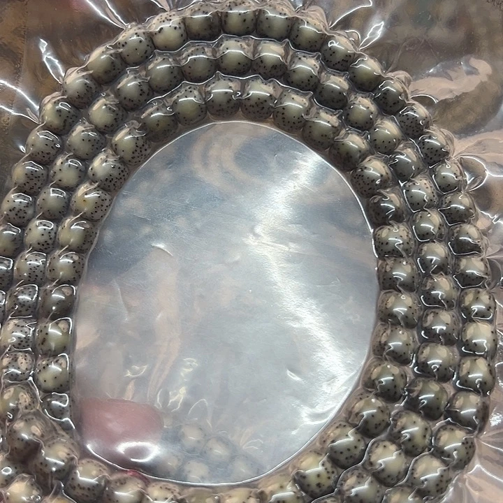 星月菩提手串海南原生态双留白7/8