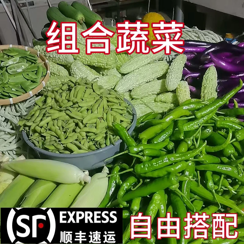 【蔬菜自由搭配自由组合】当季新鲜蔬菜现摘现发