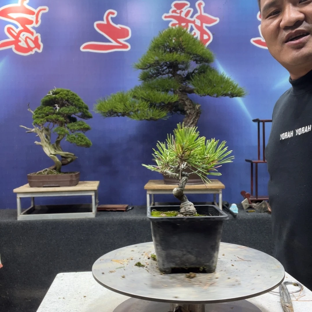 释***9无花朵88888888888