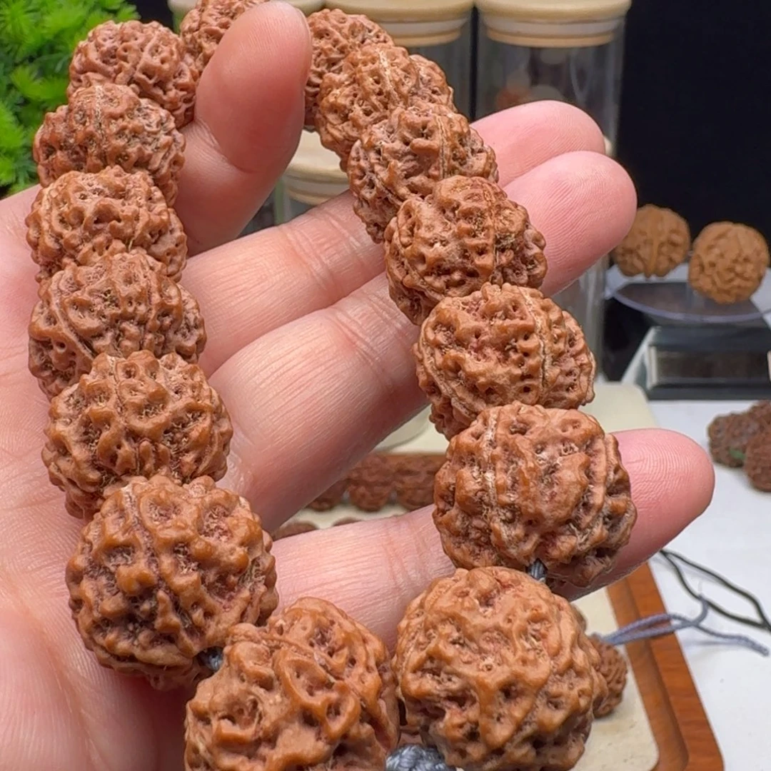 金刚菩提手串五星蜂王籽