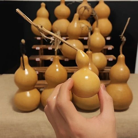 直播间专拍葫芦葫芦