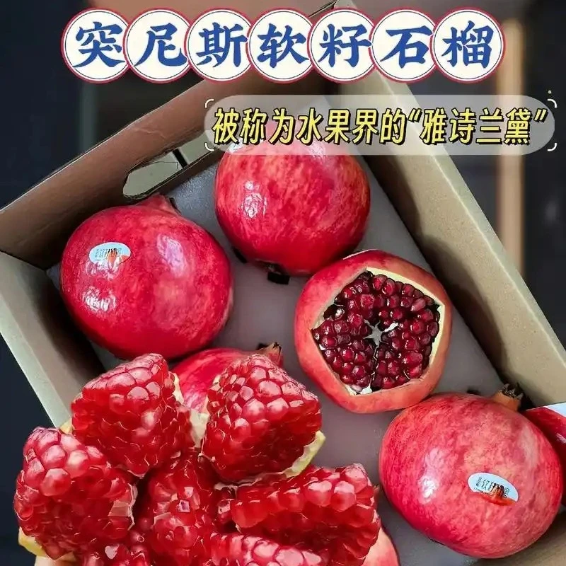 突尼斯软籽石榴苗南方北方种植盆栽地栽当年结果养死包赔