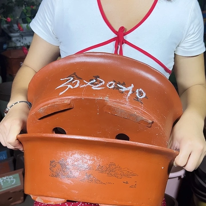 30红椭圆花盆花盆花盆×2