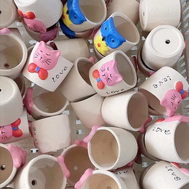 6个3166194949494944994949494