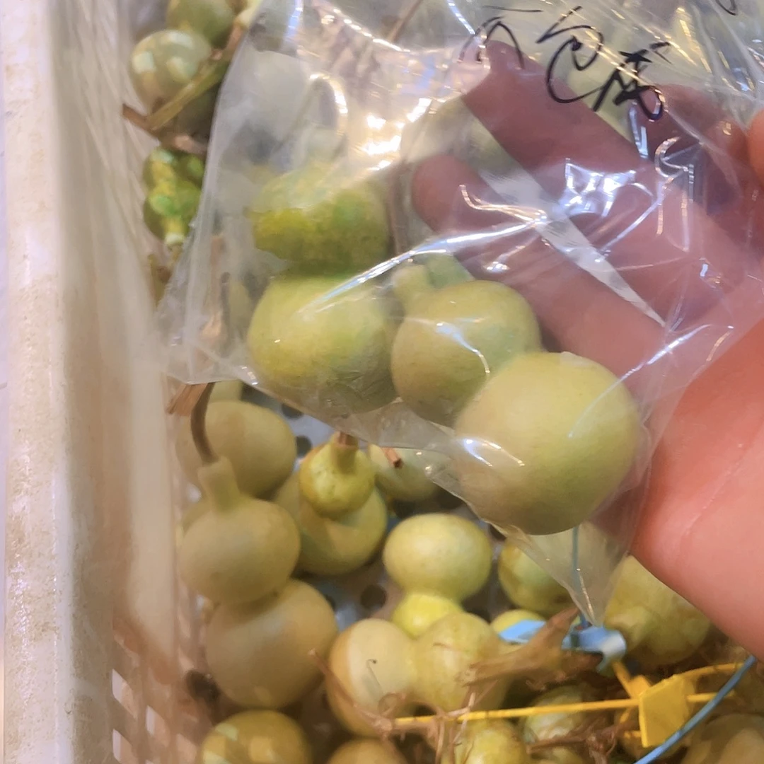 喜***哆大叶紫檀（黑酸枝木类）