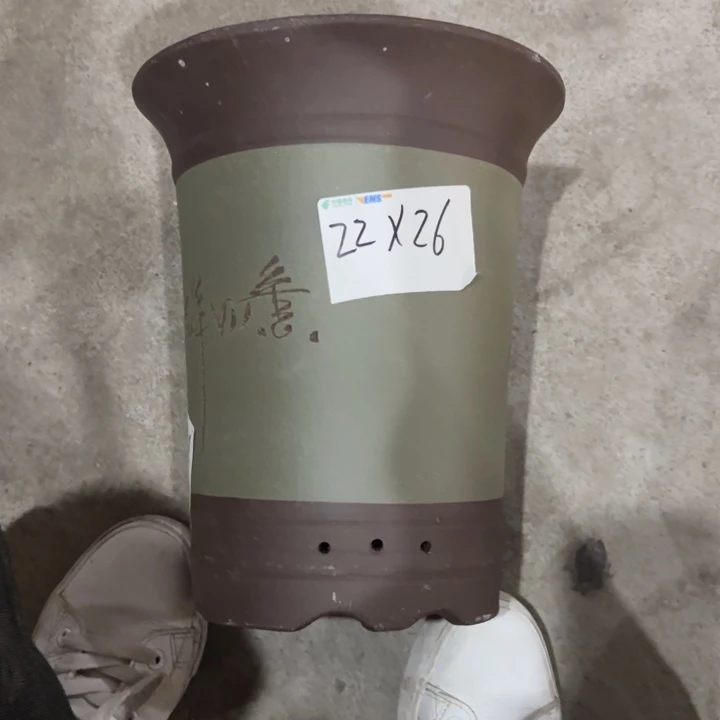 花盆紫砂紫砂的花