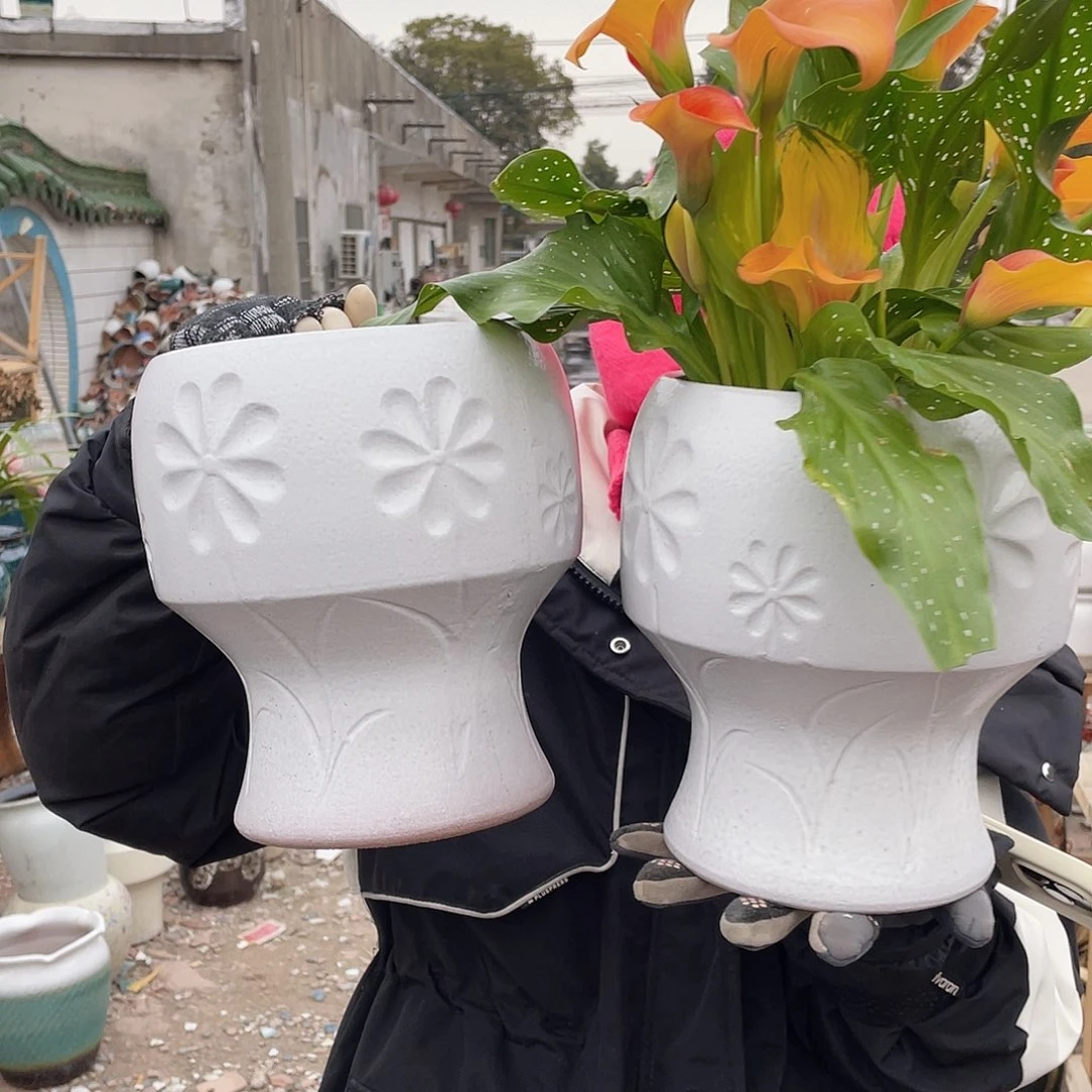 红陶王嫂花盆直播0220-虎火锅