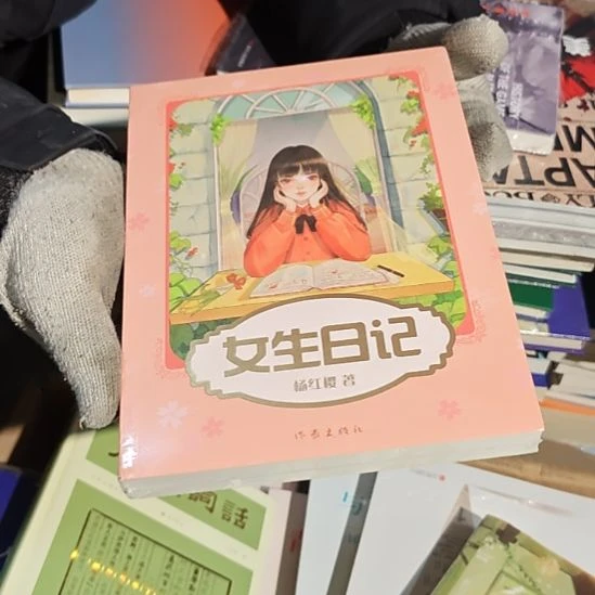 女生日记平装库存书