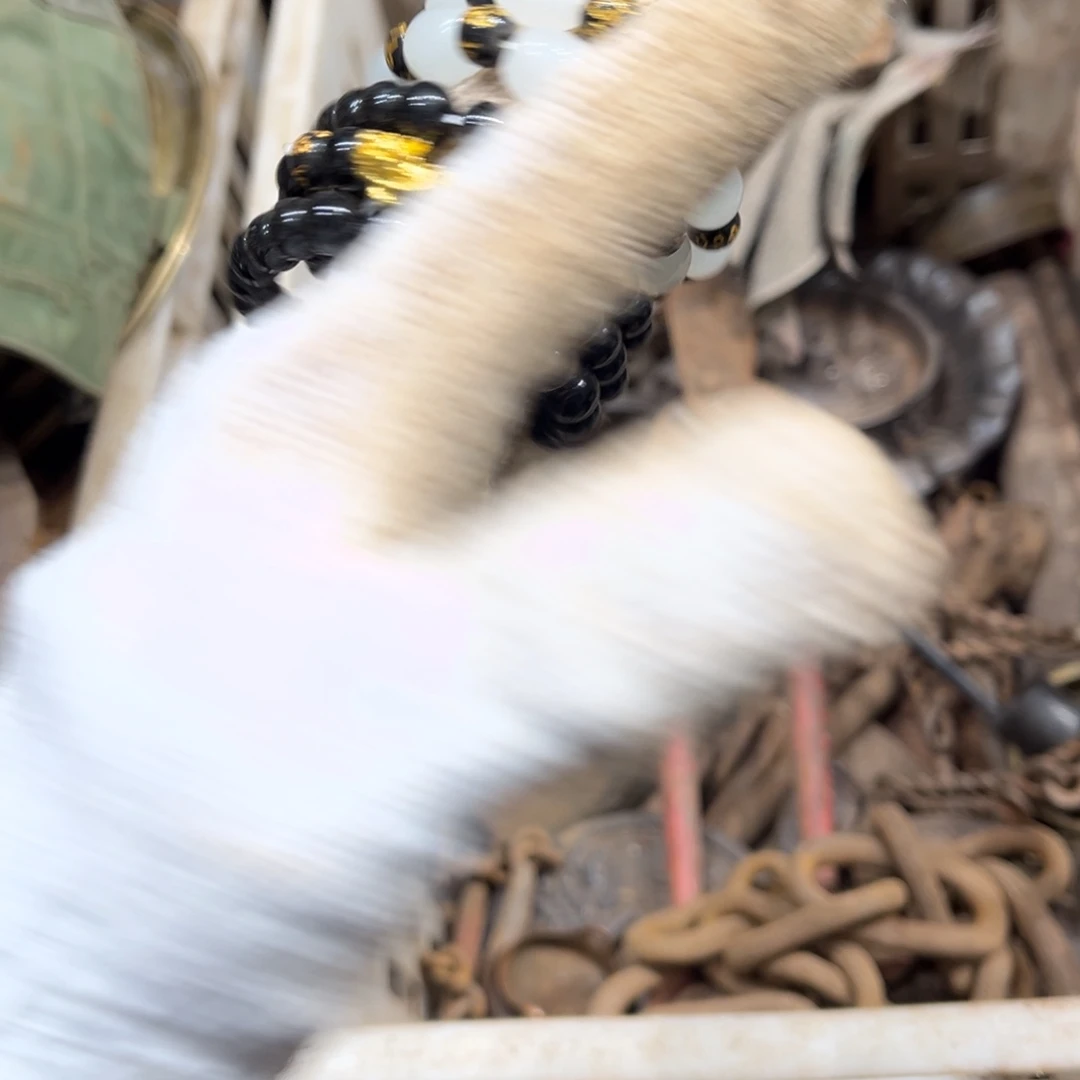 一物一图，工艺品。