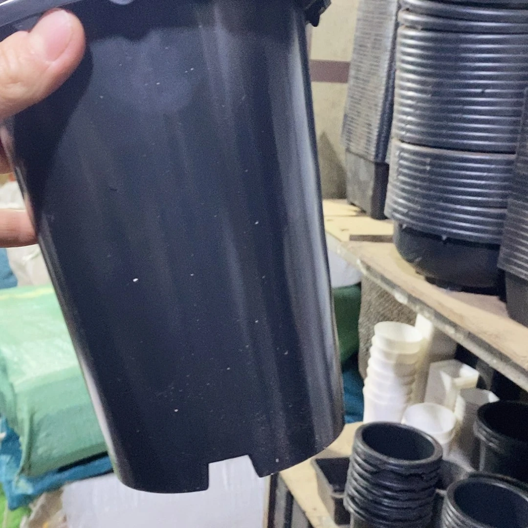 塑料新15公分兰花盆 15个