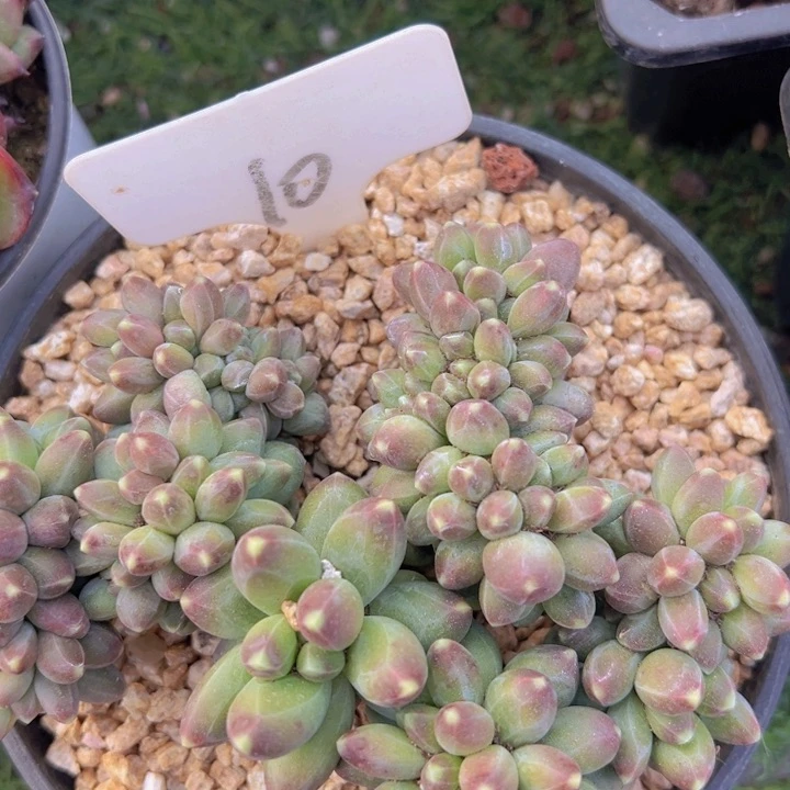 健健康康平平安安