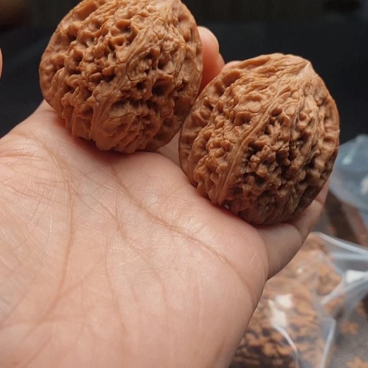 把件文玩核桃拉丝蚂蚁40尺