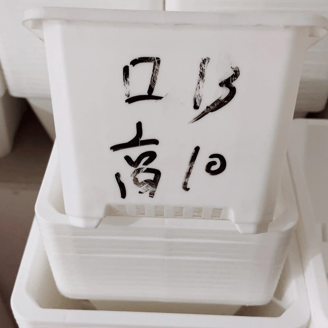 中厚口13高10白方盆15个无托