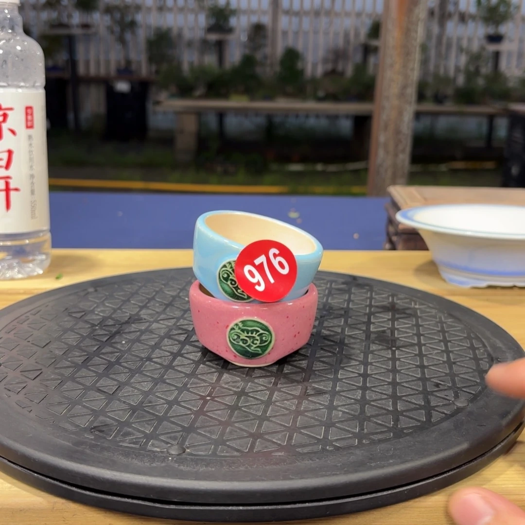 樱*大棚转让976号包邮