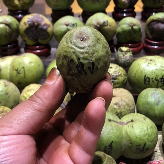 吊坠桃核核桃核桃