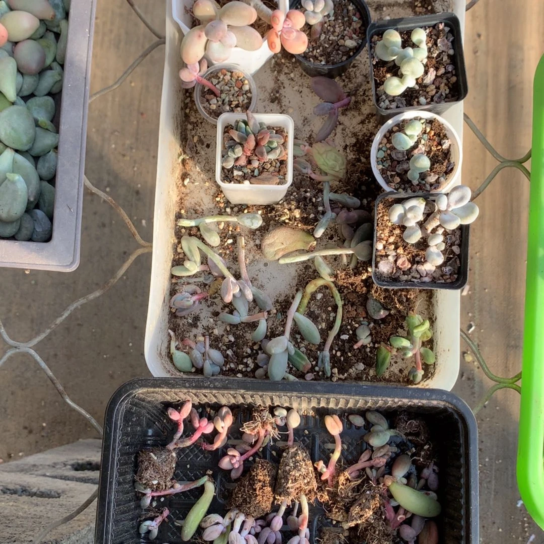 什么都有特价一起的价格