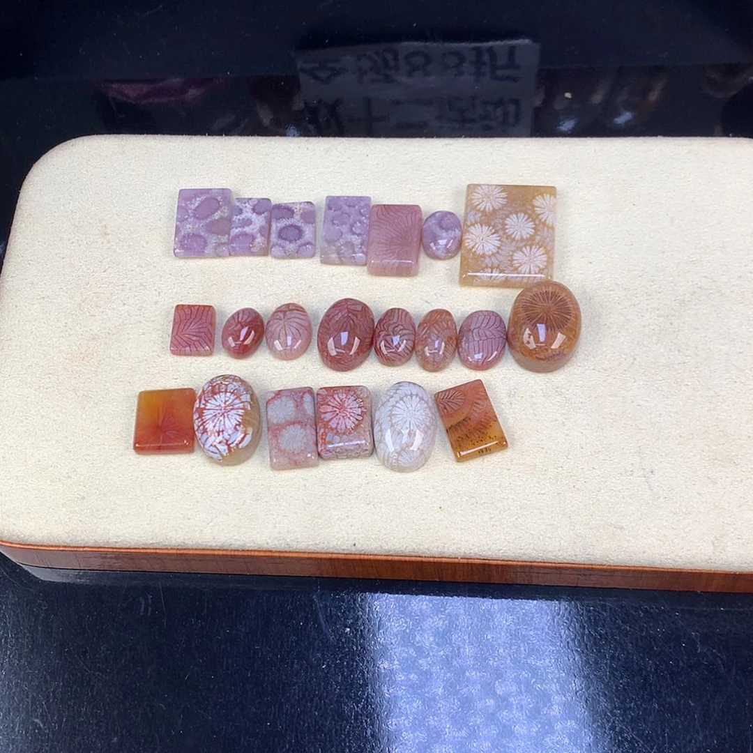 【闪购商品】颈饰未镶嵌硅化珊瑚（珊瑚玉）80米一个可挑（47号）