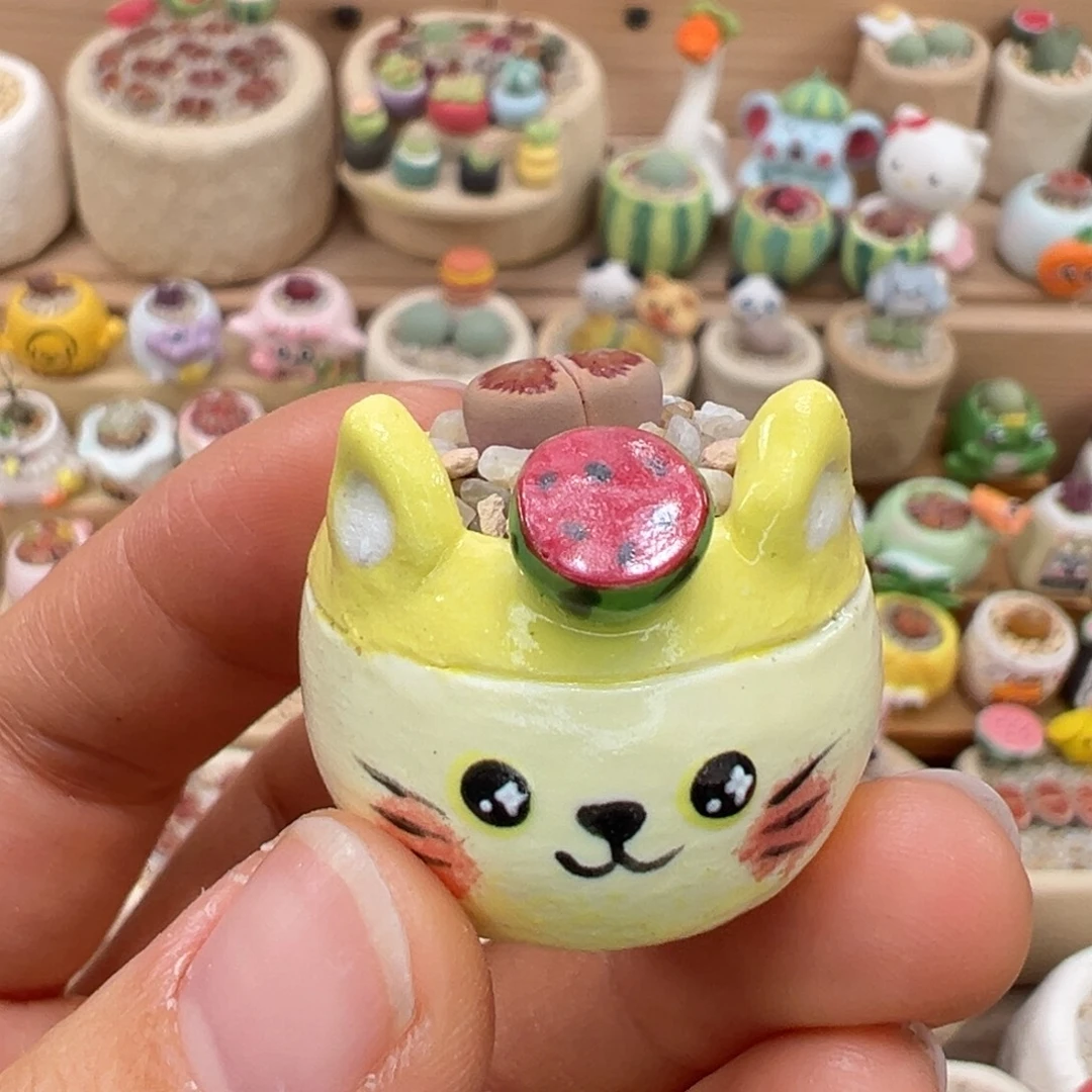 多肉植物59号拇指盆