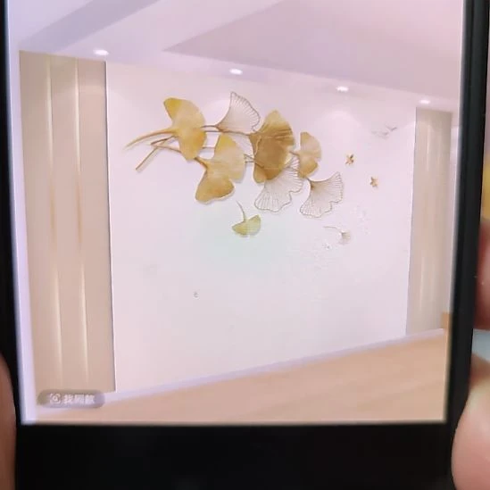 全***姐客厅电视墙壁画壁布材质