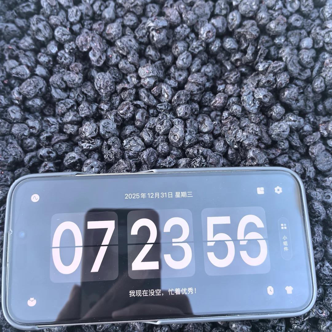 【小雪严选】长白山原产地 蓝莓干2