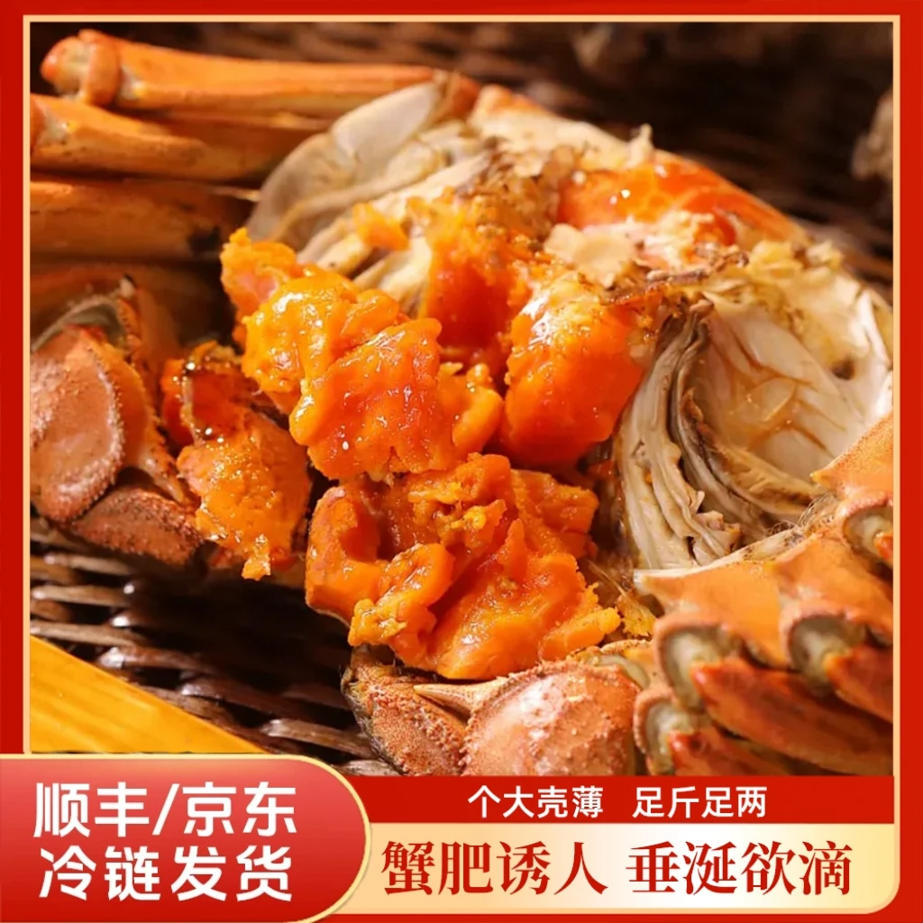 【苏州活蟹现货】江苏鲜活大闸蟹母蟹3.0两公蟹3.5两5对10只精品金标蟹全母 海鲜 鲜活现捞河蟹JP