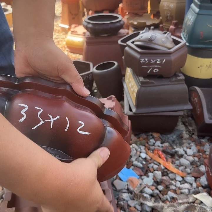 紫砂花盆紫砂花盆