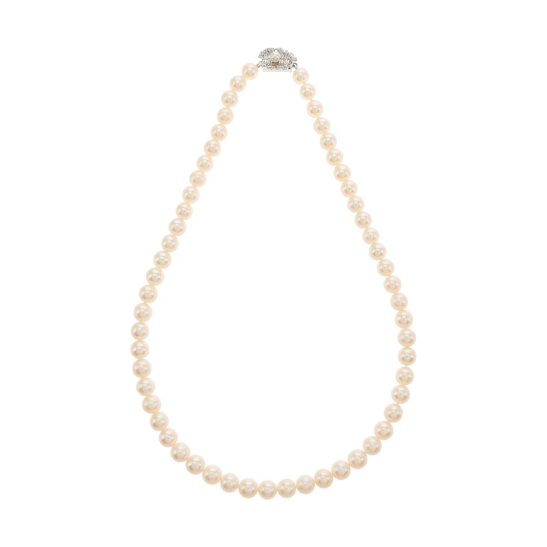 红布林/C1/塔思琦/59123651/z/121840