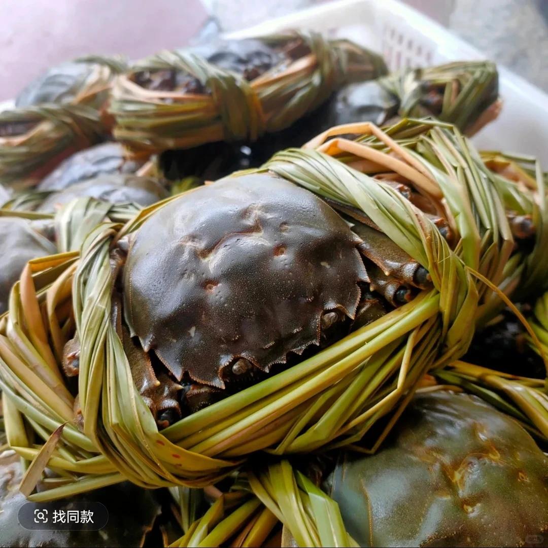 活蟹湖大超值2.5-4两母蟹4只苏州特级A精品红膏扎花绳子