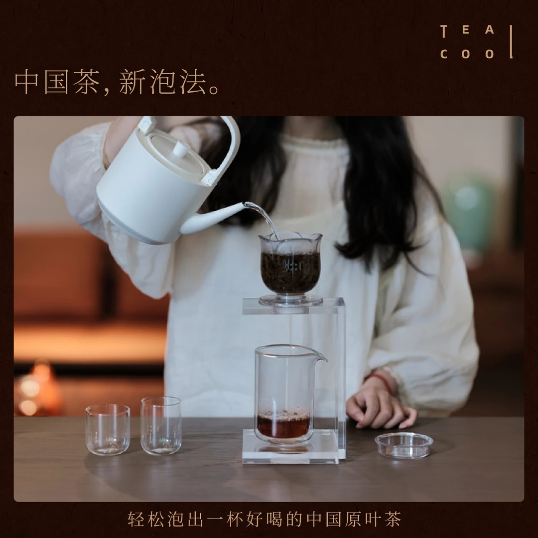 TEACOOL二人饮茶具套装流芳滤杯公道杯套装茶水分离简约时尚便携