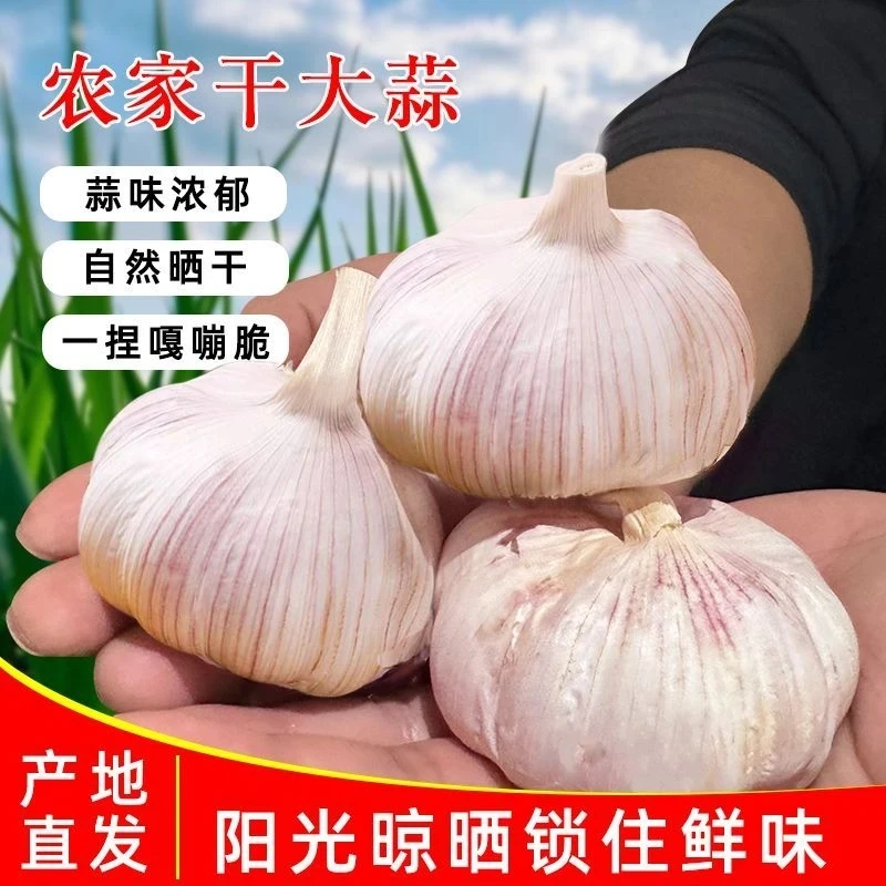 2025年精品干蒜厨房调味品必备