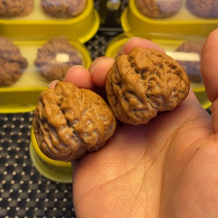 核桃手串/手链尺寸38山地蛙