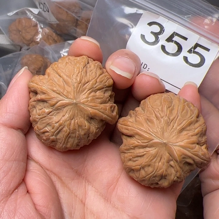 核桃全品铁锤41尺355