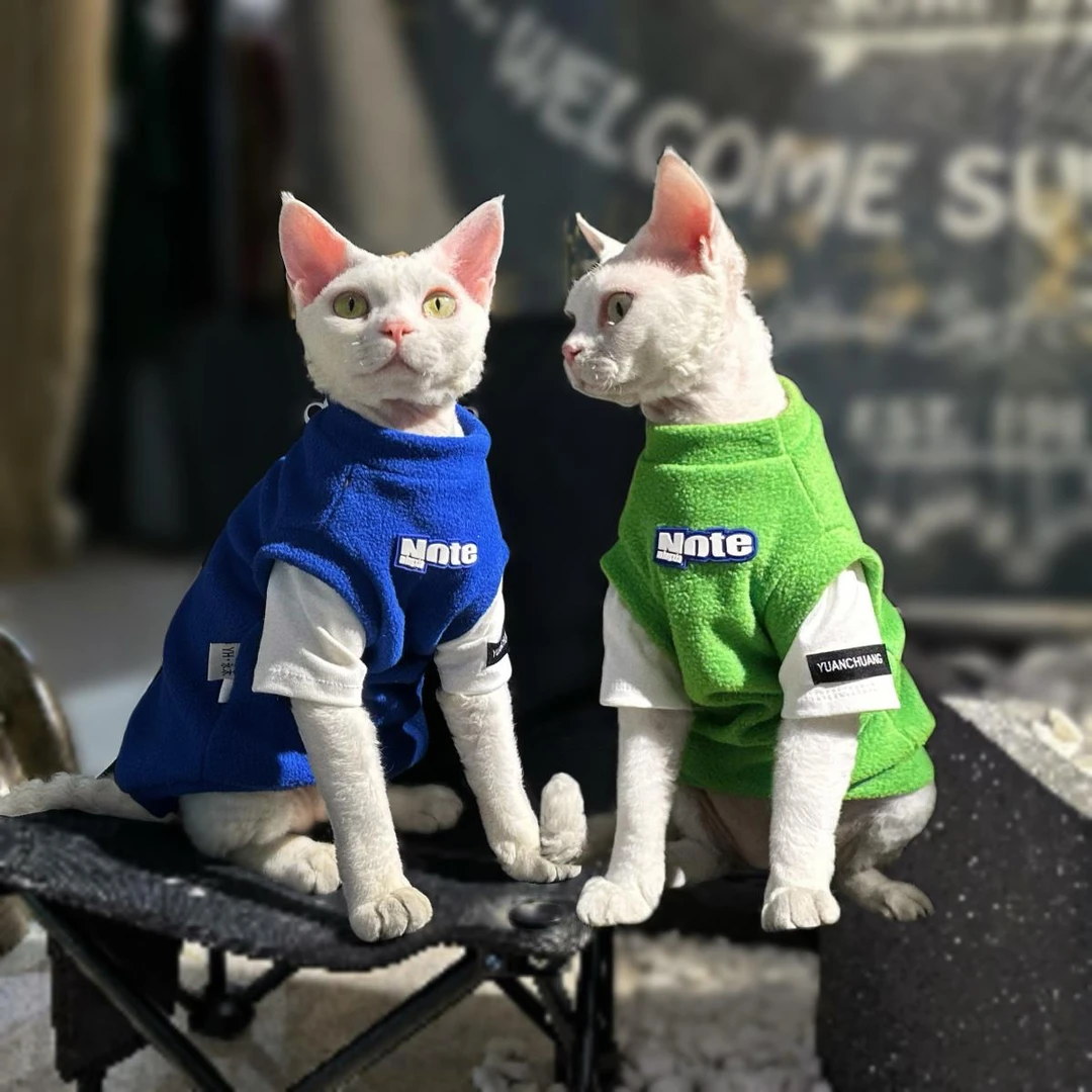 猫咪衣服秋冬季保暖摇粒绒假两件背心冬天防着凉无毛猫德文小猫咪
