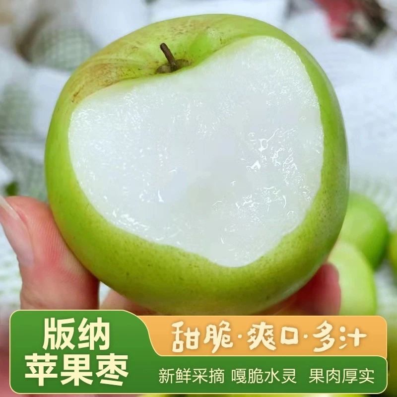 西双版纳苹果枣新鲜青枣水果牛奶枣多汁当季新鲜水果苹果枣 3/5斤